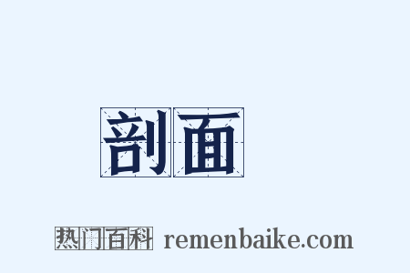 剖面圖是什么意思的图片